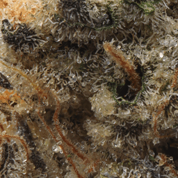 Premium-Claybourne Co.-Wedding Cake-image-2