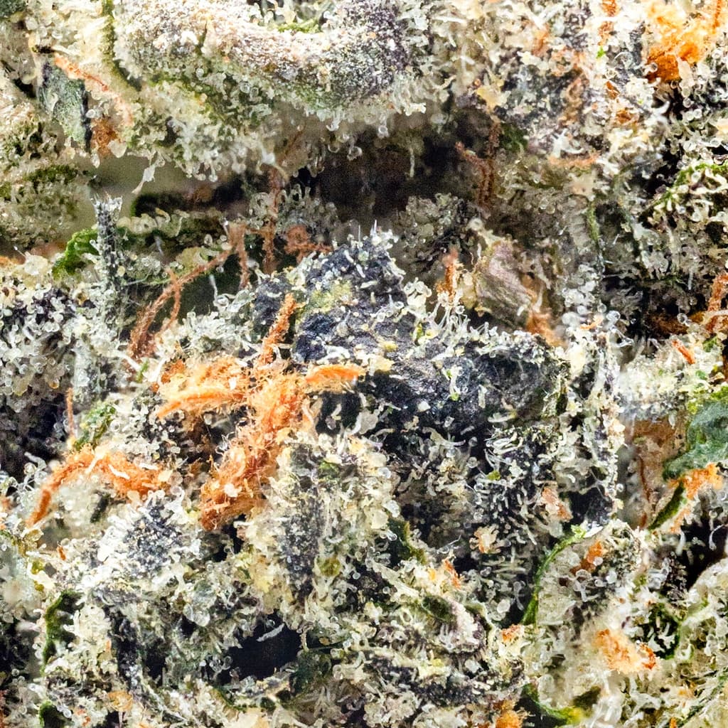 Premium - Connected Cannabis Co. - Gelato 41 - image-2