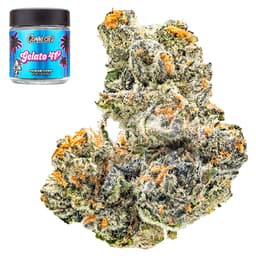 Premium-Connected Cannabis Co.-Gelato 41-image-1