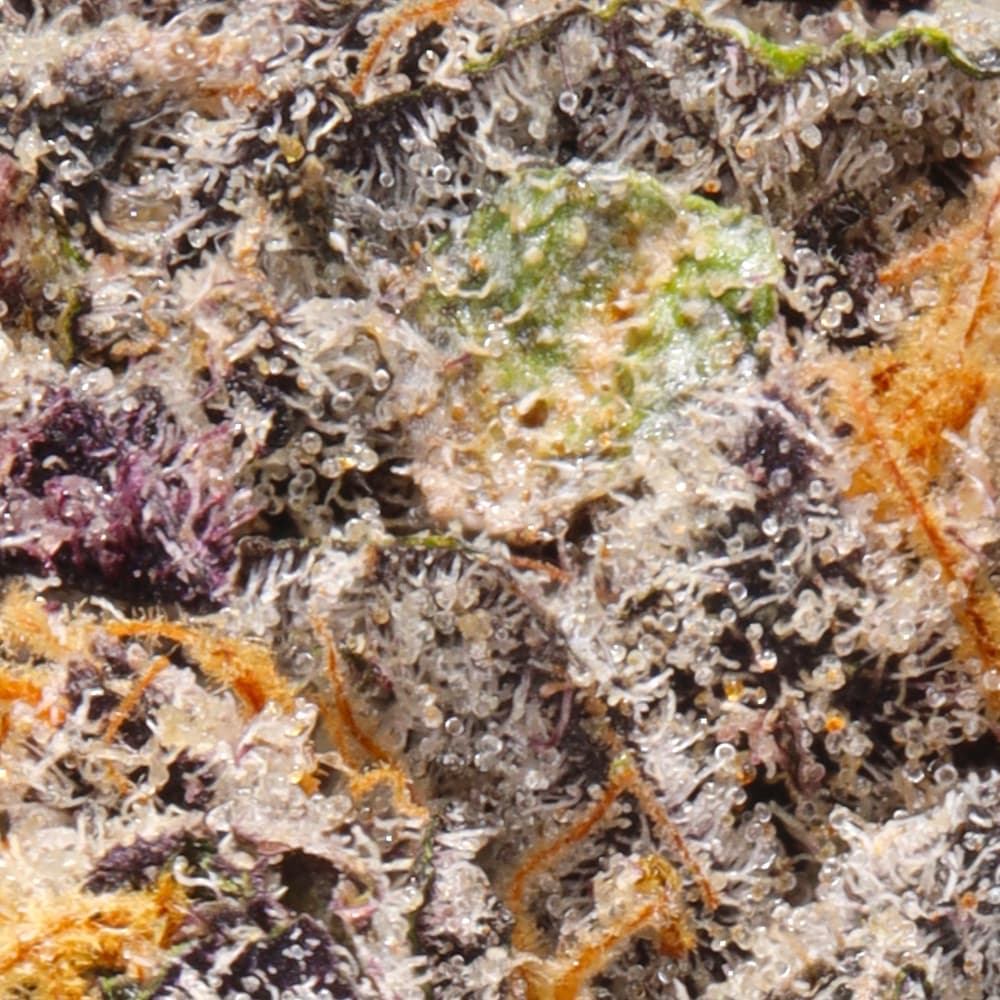 Premium - Connected Cannabis Co. - Permanent Marker - image-2