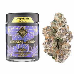 Premium-Cream of The Crop-Grape Kush Mintz-image-1