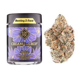 Premium-Cream of The Crop-Resting Z-Face-image-1