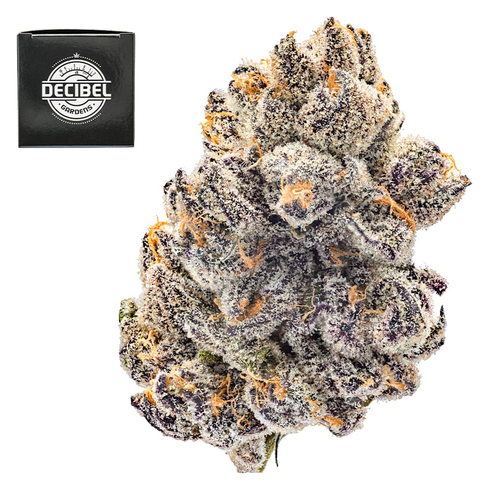 Premium-Decibel Gardens-Cosmic Banana