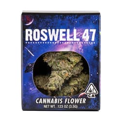 Premium-Decibel Gardens-Roswell 47-image-1