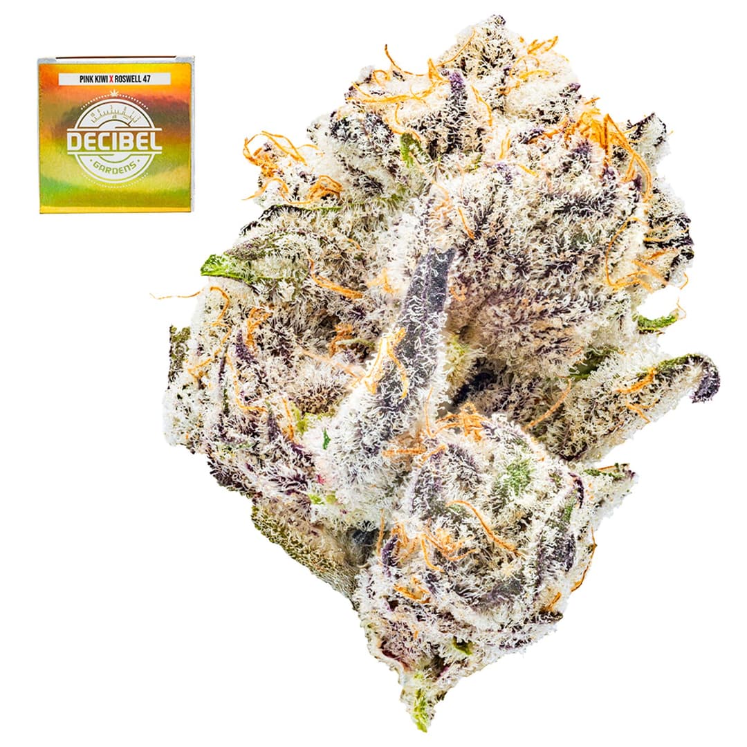 Premium-Decibel Gardens-Sweet Victory