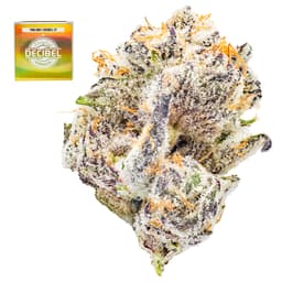 Premium-Decibel Gardens-Sweet Victory-image-1