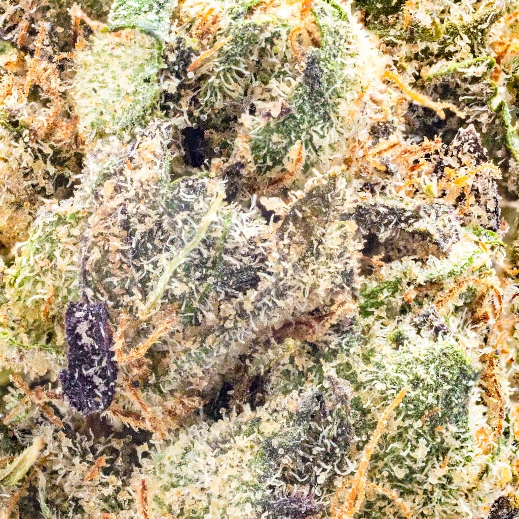 Premium - Field's Family Farmz - Black Bubblegum Smalls - image-2