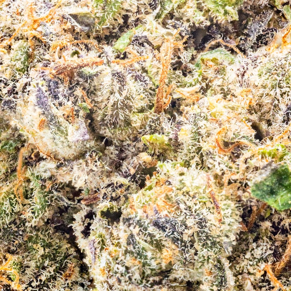 Premium - Field's Family Farmz - Dum Dumz Half Ounce - image-2