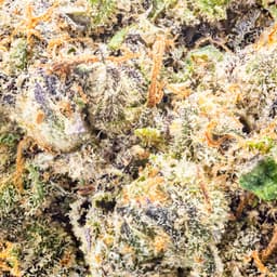 Premium-Field's Family Farmz-Dum Dumz Half Ounce-image-2