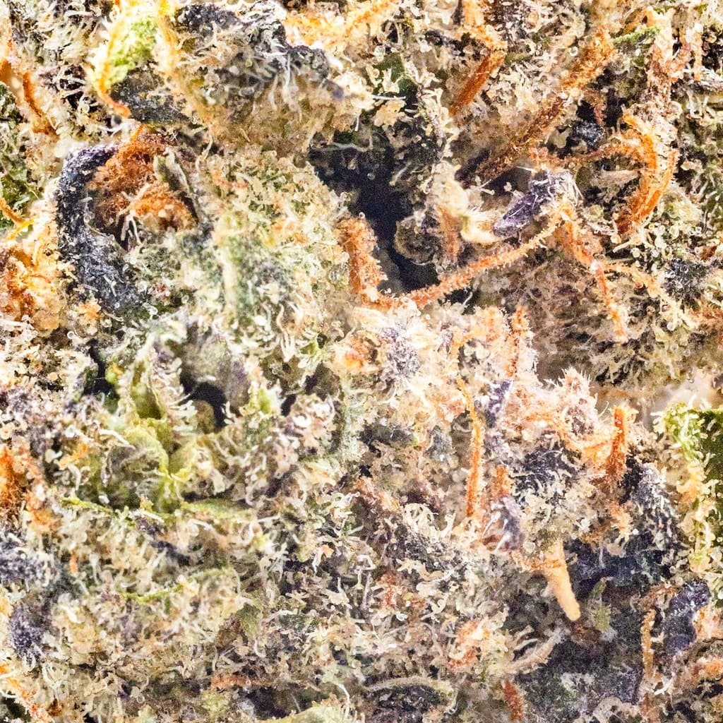 Premium - Field's Family Farmz - Lip Smackerz Half Ounce - image-2