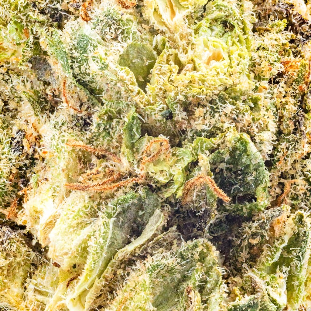 Premium - Field's Family Farmz - Nitwitz Smalls - image-2