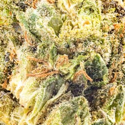 Premium-Field's Family Farmz-Nitwitz Smalls-image-2