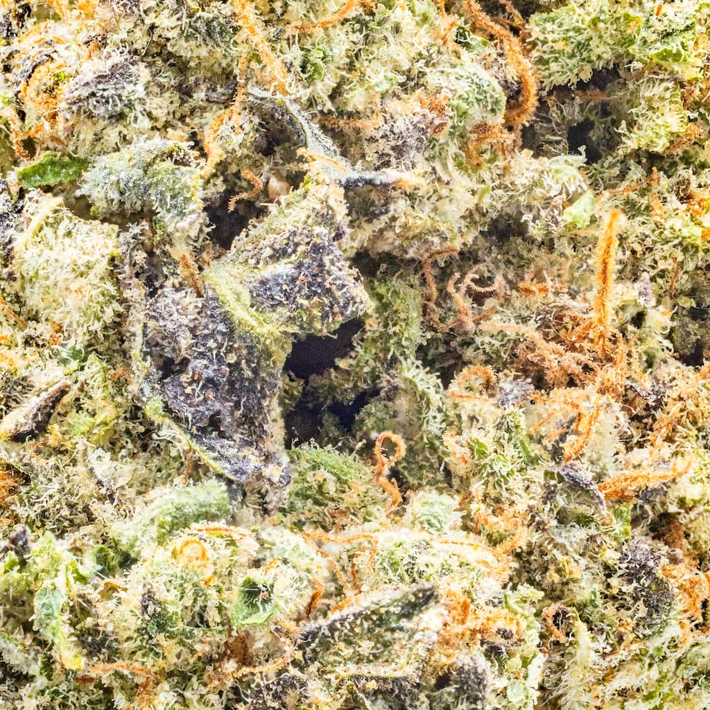 Premium - Field's Family Farmz - Sherb Banger - image-2