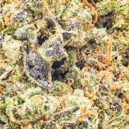 Premium-Field's Family Farmz-Sherb Banger-image-2