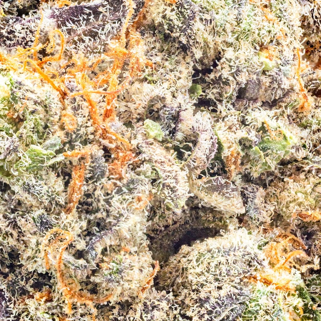 Premium - Field's Family Farmz - Tropicali Smalls - image-2