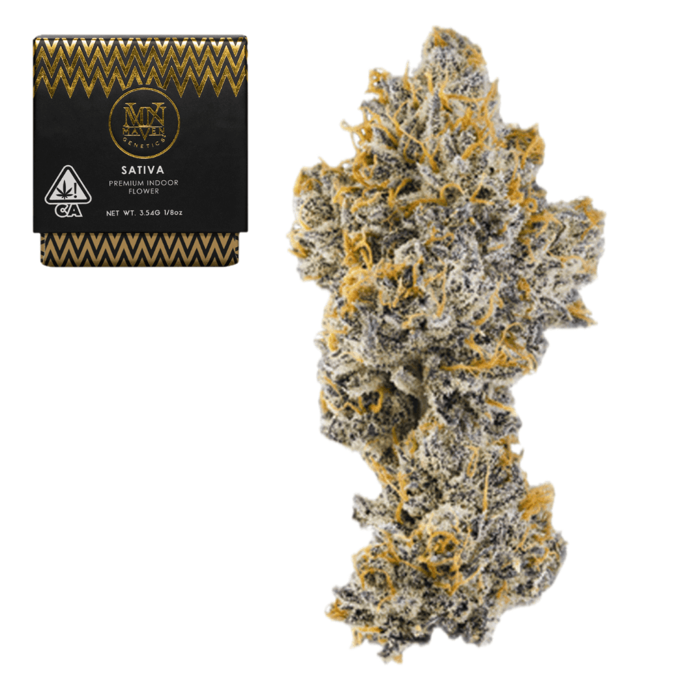 Premium-Maven Genetics-Black Lotus