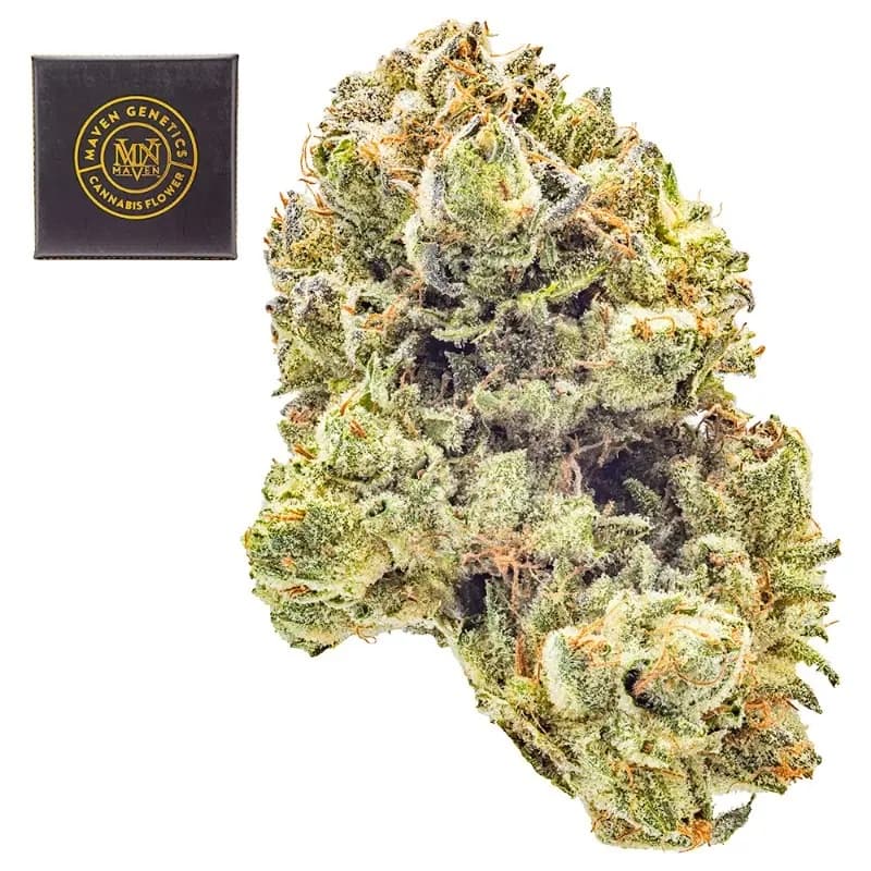 Premium-Maven Genetics-Blueberry ZKZ