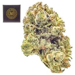 Premium-Maven Genetics-Blueberry ZKZ-image-1