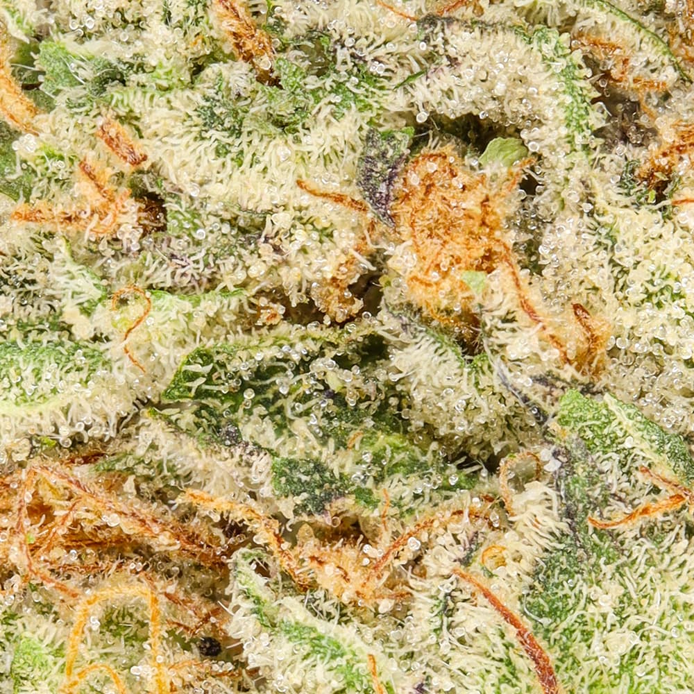 Premium-Smoken Promises-Garlic Ghost Quarter Ounce