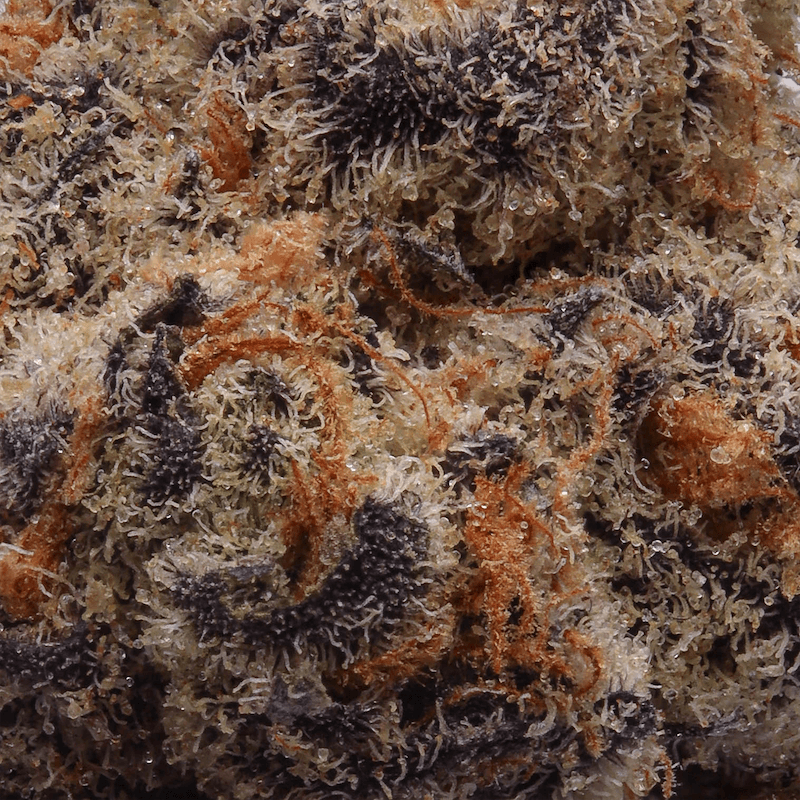 Premium - Smoken Promises - Love Potion - image-2