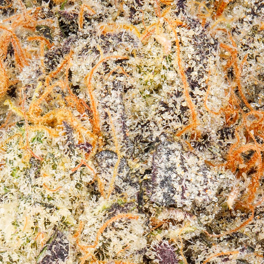 Premium - Smoken Promises - Raspberry Reaper - image-2