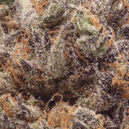 Premium-Smoken Promises-Raspberry Reaper Quarter-image-2