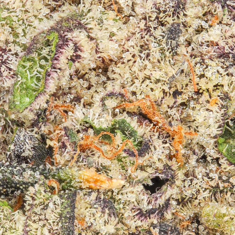 Premium - Smoken Promises - Violet Dreams - image-2