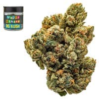 Premium-Stilo Supply-King Louis OG-image-1