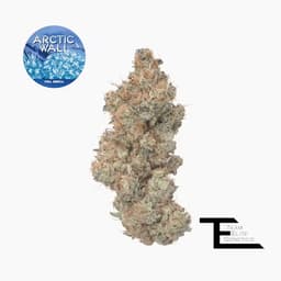 Premium-Team Elite Genetics-Arctic Wall-image-1