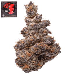 Premium-Team Elite Genetics-Freeze Cup-image-1