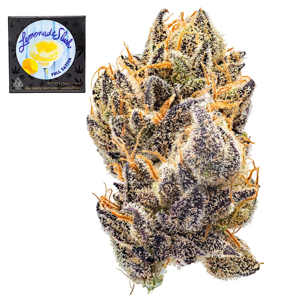 Premium-Team Elite Genetics-Lemonade Slush