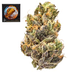 Premium-Team Elite Genetics-Sourdough Loaf-image-1