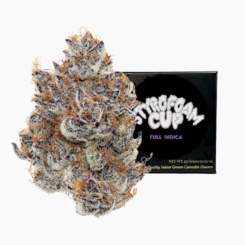 Premium-Team Elite Genetics-Styrofoam Cup