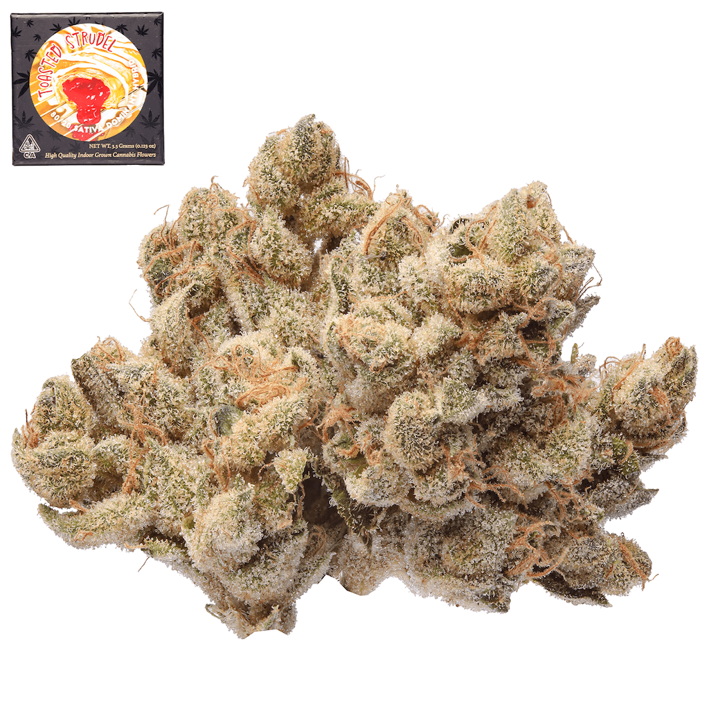 Premium-Team Elite Genetics-Toasted Strudel