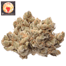 Premium-Team Elite Genetics-Toasted Strudel-image-1
