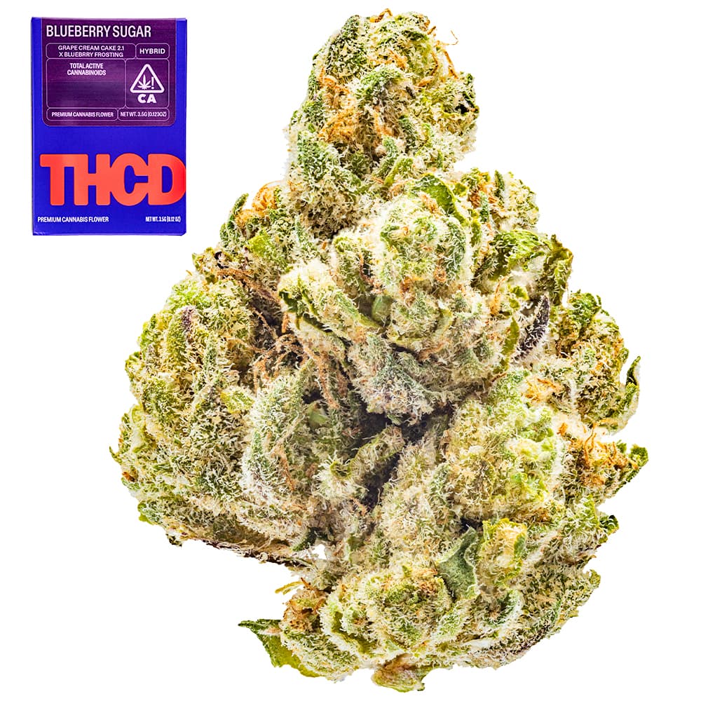 Premium-THC Design-Blueberry Sugar