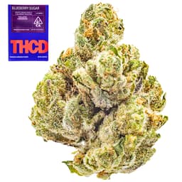 Premium-THC Design-Blueberry Sugar-image-1