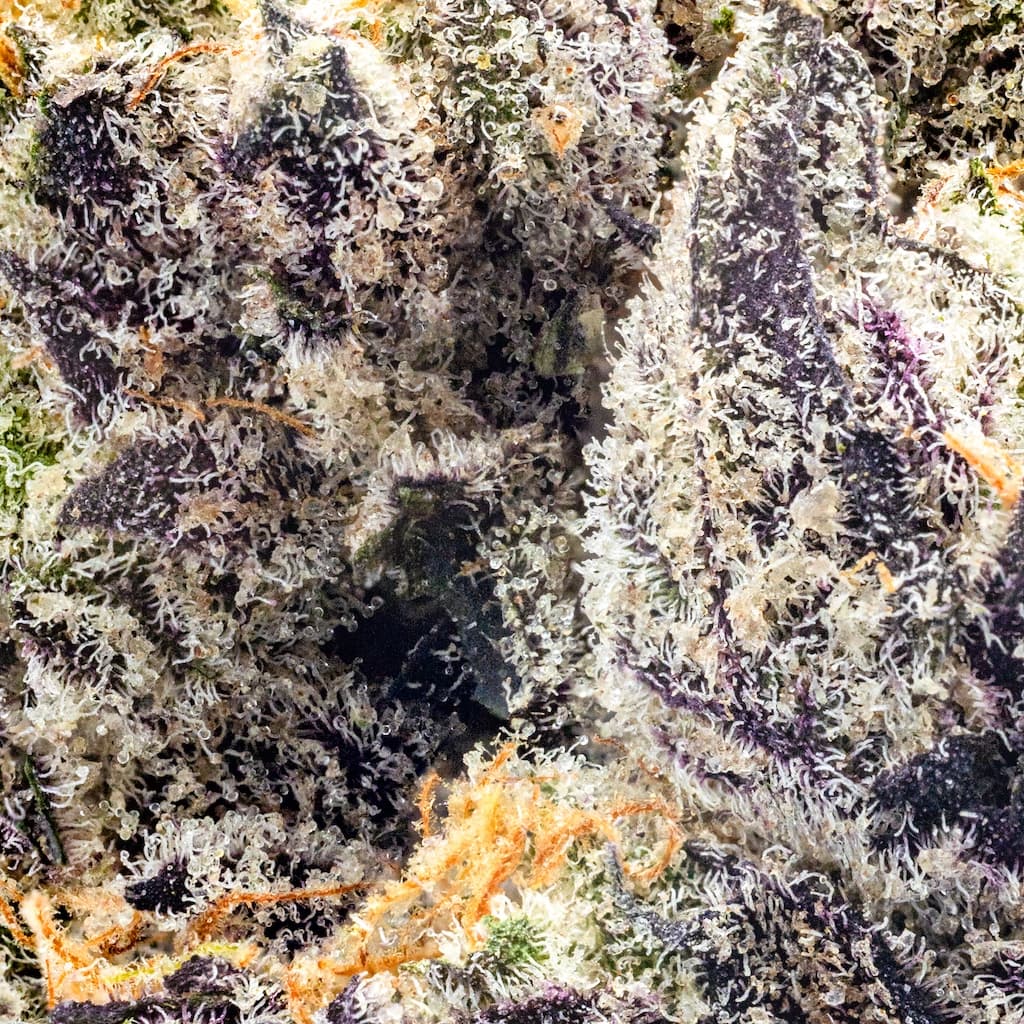 Premium - Top Shelf Cultivation - Gas Face - image-2