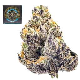 Premium-Top Shelf Cultivation-Gas Face-image-1