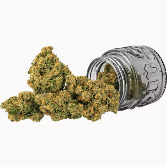 Premium-Top Shelf Cultivation-Jack