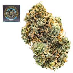 Premium-Top Shelf Cultivation-Long Beach Garlic-image-1
