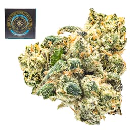 Premium-Top Shelf Cultivation-SFV OG-image-1