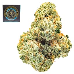 Premium-Top Shelf Cultivation-Skywalker OG-image-1