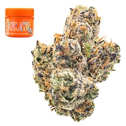 Premium-Traditional-Gelato-image-1