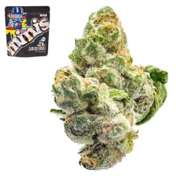 Premium-Traditional-Jawcrushers Minis-image-1