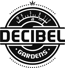 Single Pre-Roll-Decibel Gardens-Benjamin In Space Preroll