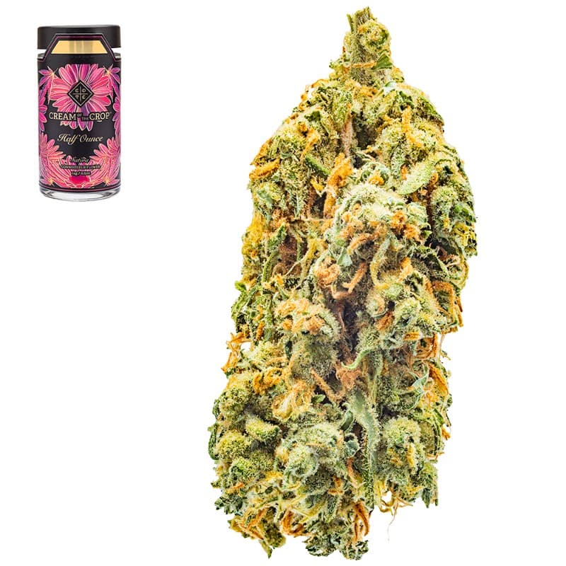 Smaller Buds-Cream of The Crop-Blue Dream Half Ounce Smalls