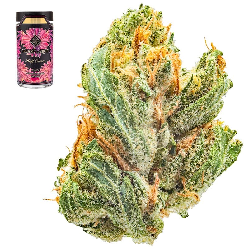 Smaller Buds-Cream of The Crop-Jack Herer Half Ounce Smalls