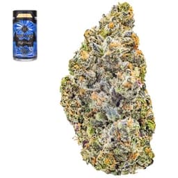 Smaller Buds-Cream of The Crop-Resting Z-Face Half Ounce Smalls