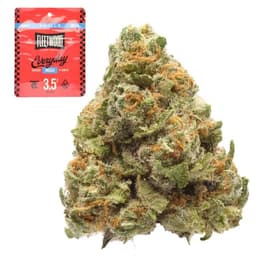 Smaller Buds-Fleetwood Flower Company-Sunset Sherbet Smalls-image-1